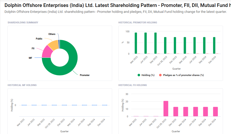 Dolphin Offshore Shareholding Pattern