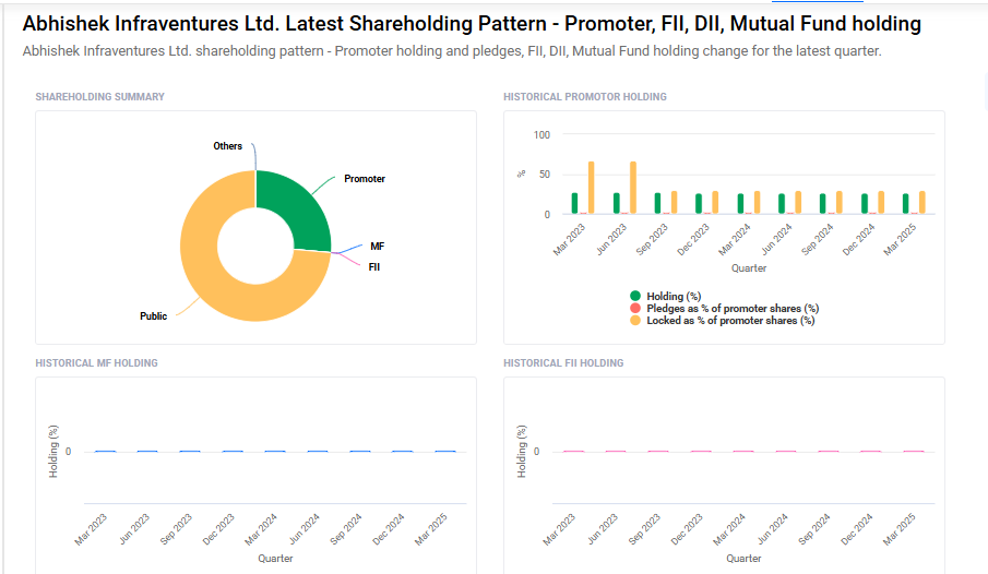 Abhishek Infra Shareholding Pattern