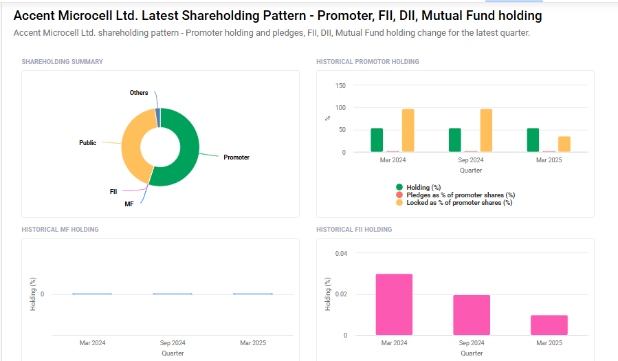 Accent Microcell Shareholding Pattern