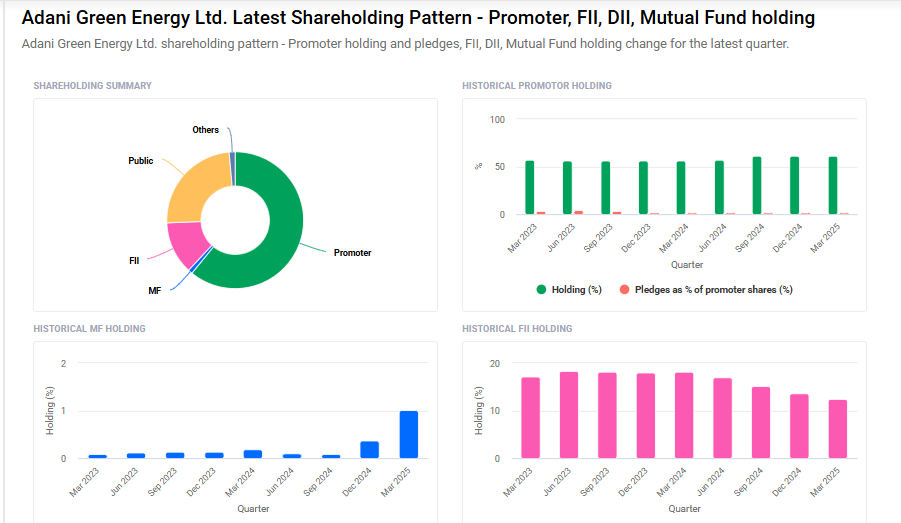 Adani Green Shareholding Pattern