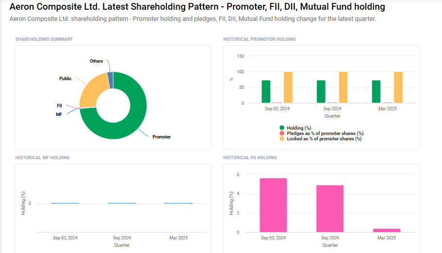 Aeron Composites Shareholding Pattern