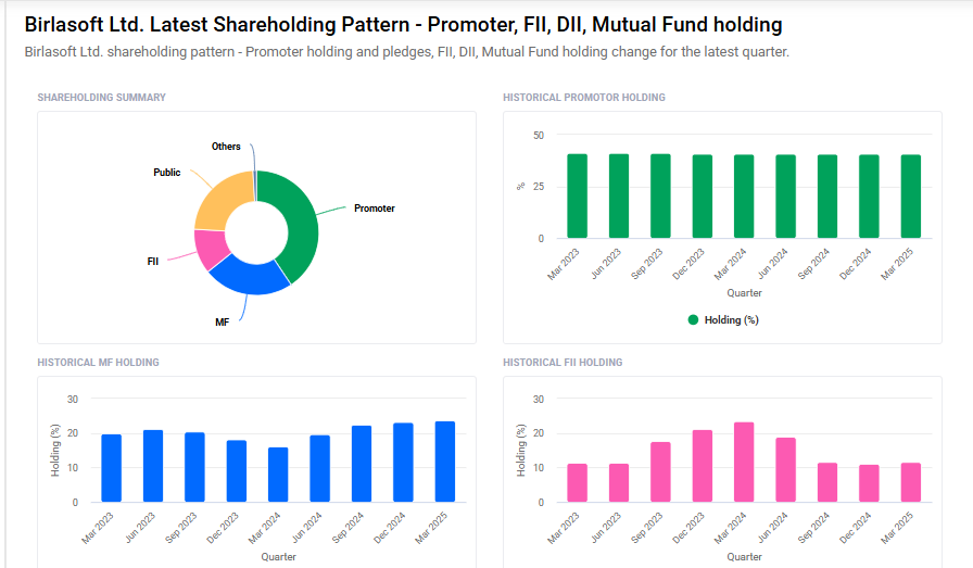 Bsoft Shareholding Pattern