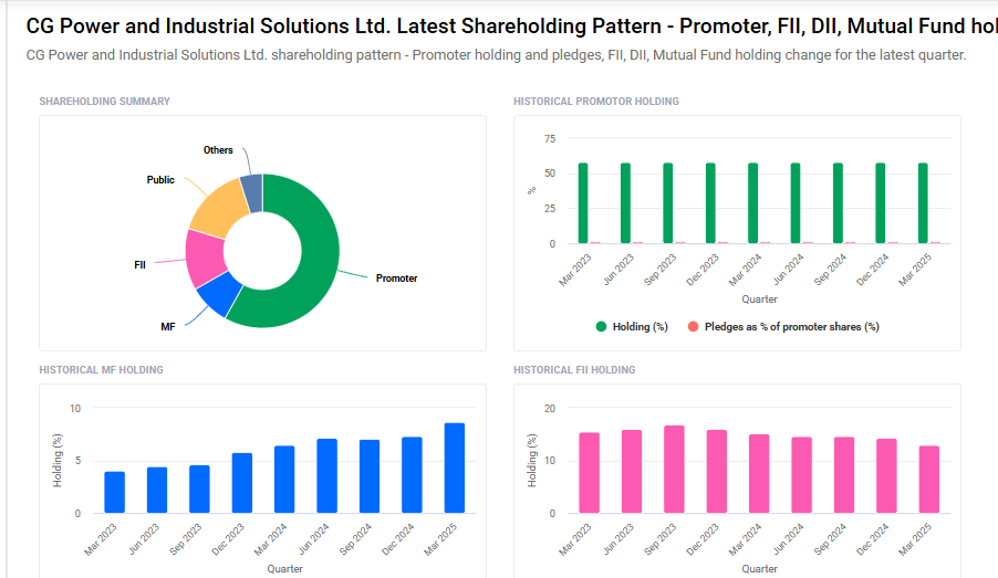 CG Power Shareholding Pattern