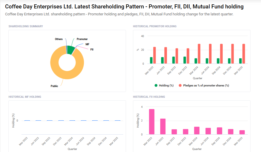Coffee Day Shareholding Pattern