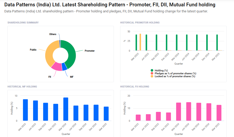 Data Patterns Shareholding Pattern