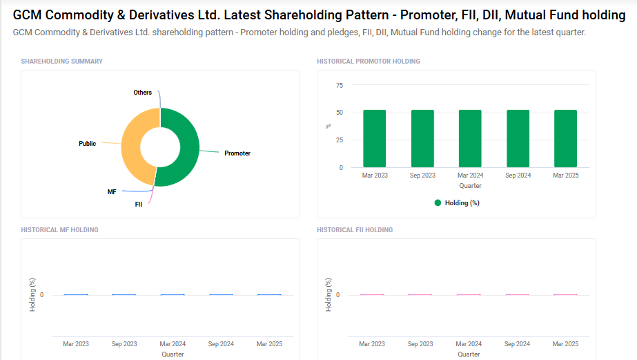 GCM Commodity Shareholding Pattern