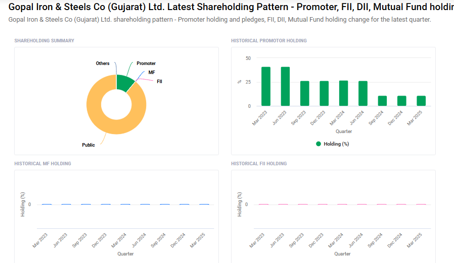 Gopal Iron Stl Shareholding Pattern