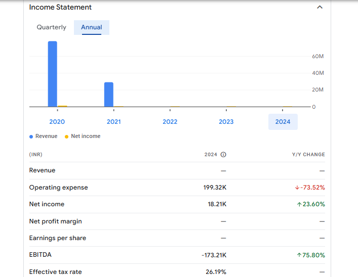 Gujarat Winding Financials Statement