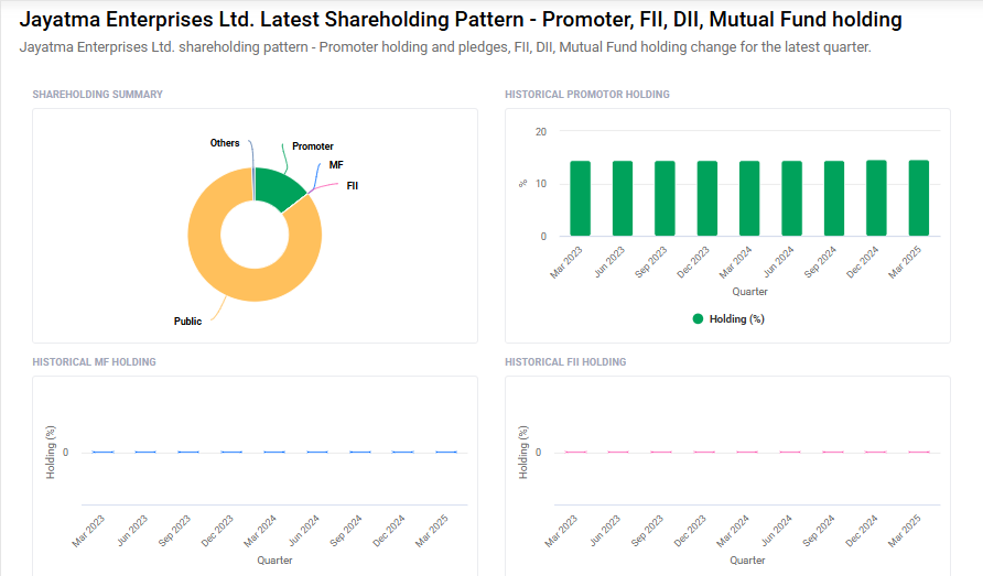 Jayatma Enterprises Shareholding Pattern