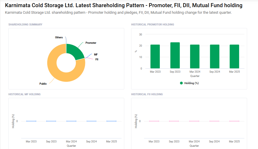 Karnimata Cold Shareholding Pattern