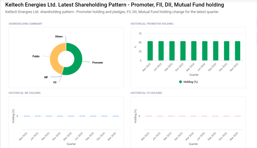 Keltech Energies Shareholding Pattern