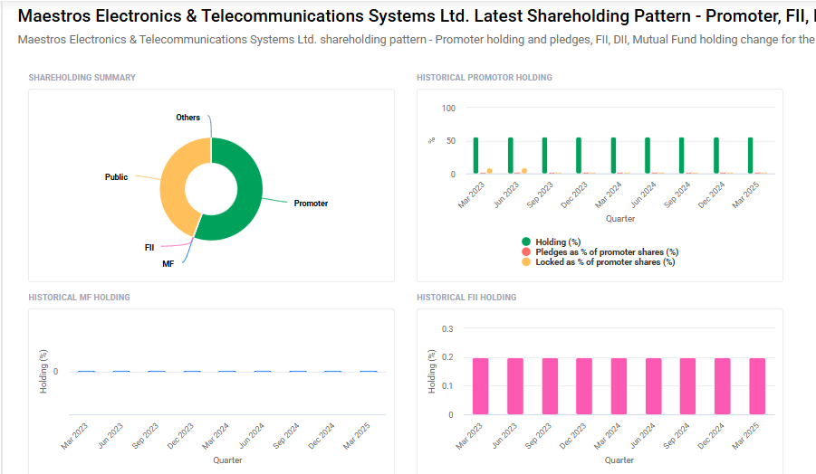 Maestros Electronics Shareholding Pattern