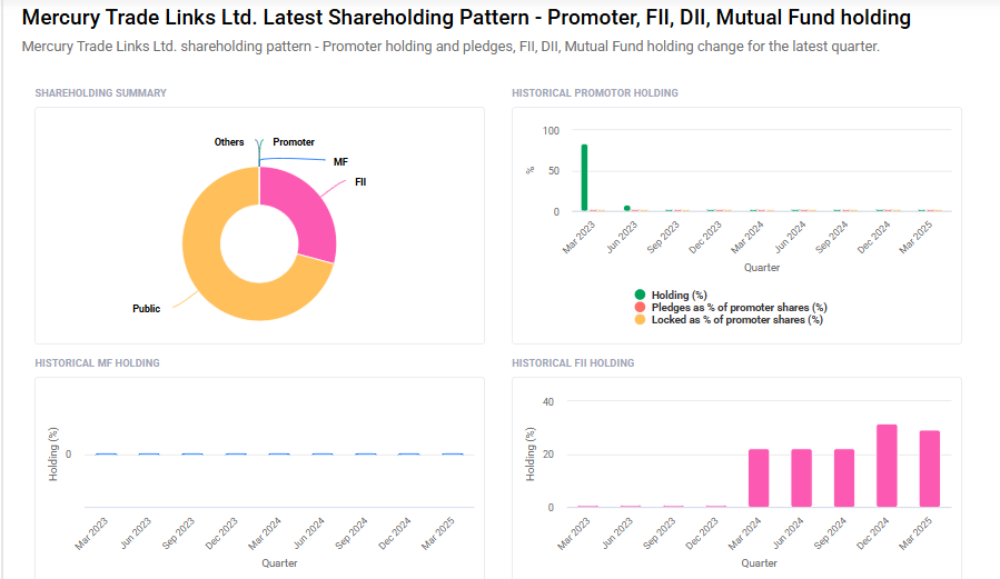 Mercury Trade Shareholding Pattern