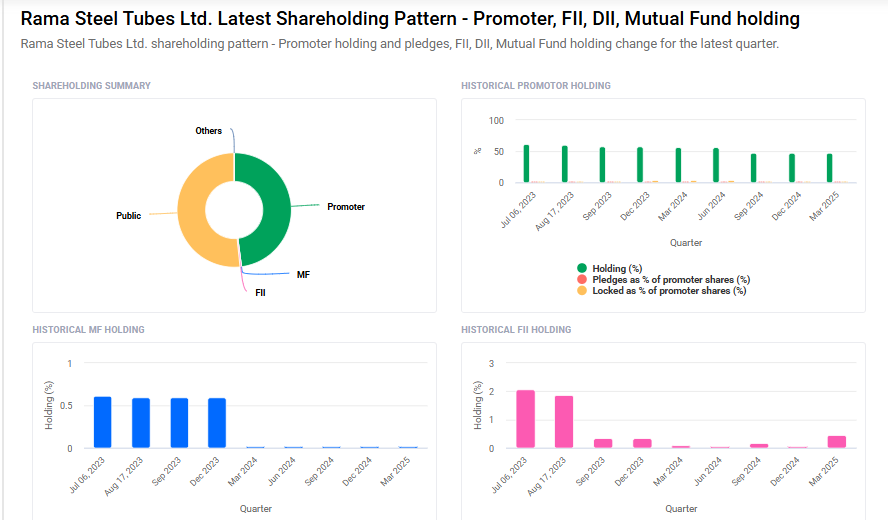 RAMA Steel Shareholding Pattern