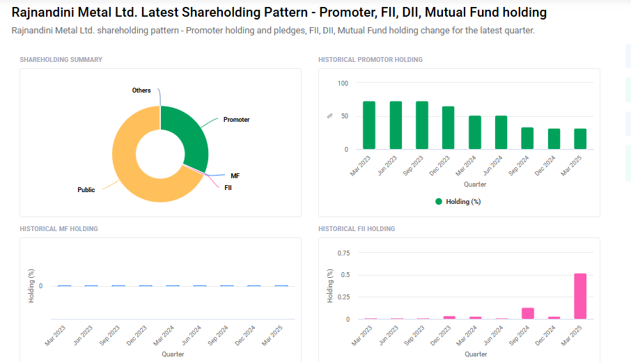 Rajnandini Metal Shareholding Pattern