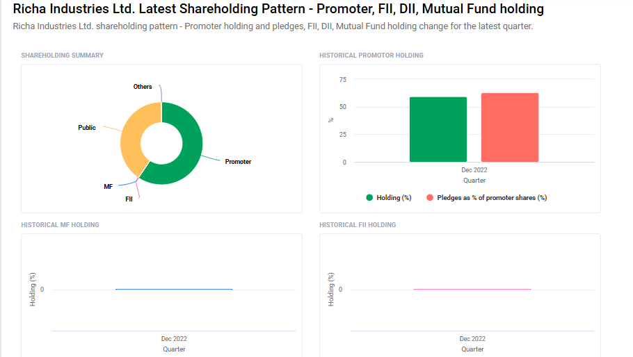 Richa Industries Shareholding Pattern