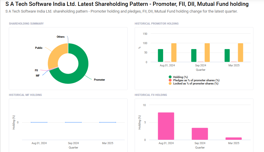 SA Tech Software Shareholding Pattern