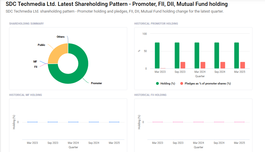 SDC Techmedia Shareholding Pattern