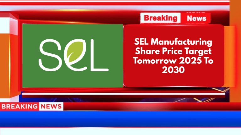 SEL Manufacturing Share Price Target
