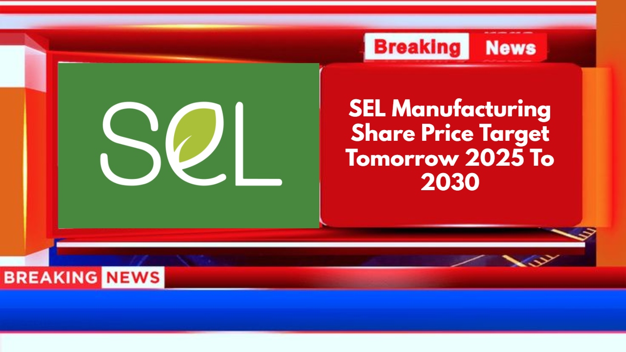 SEL Manufacturing Share Price Target