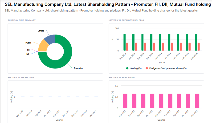 SEL Manufacturing Shareholding Pattern