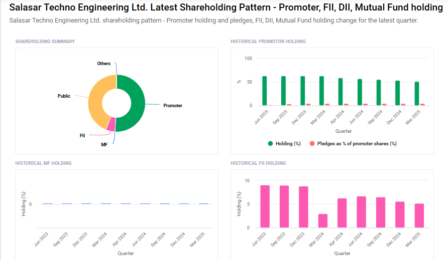 Salasar Techno Shareholding Pattern