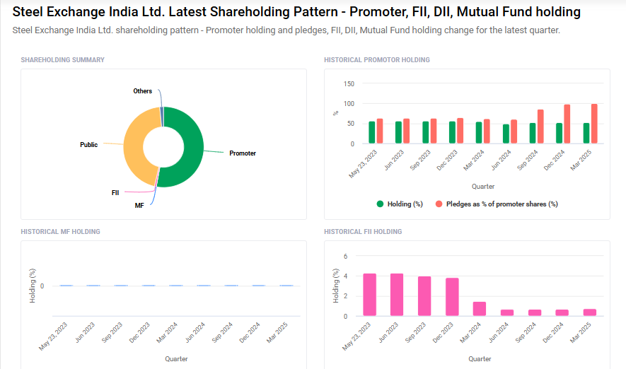 Steel Exchange Shareholding Pattern