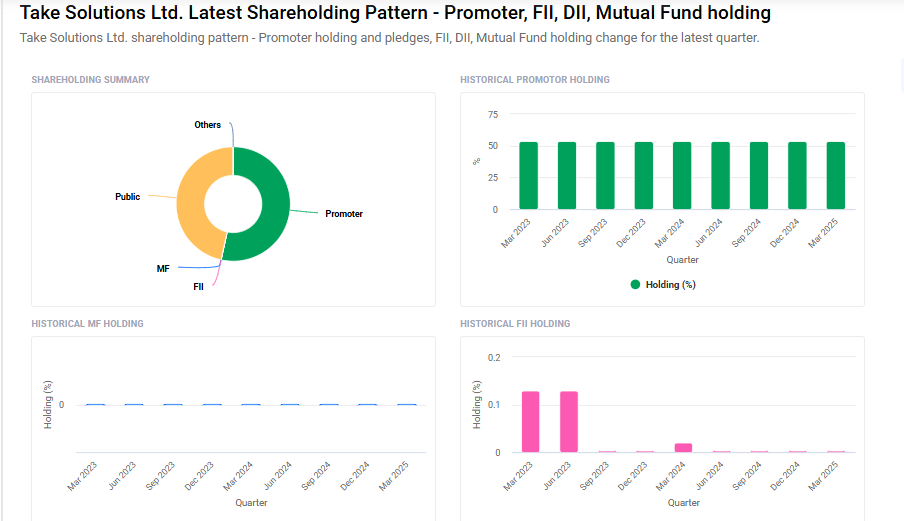 Take Solutions Shareholding Pattern