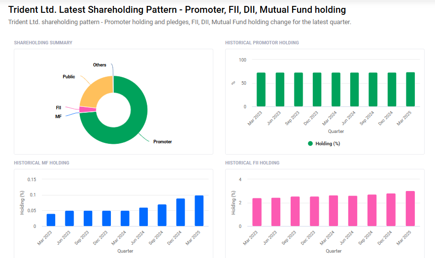 Trident Shareholding Pattern