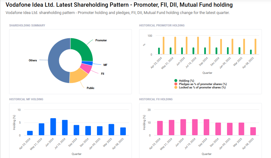 Vi Shareholding Pattern