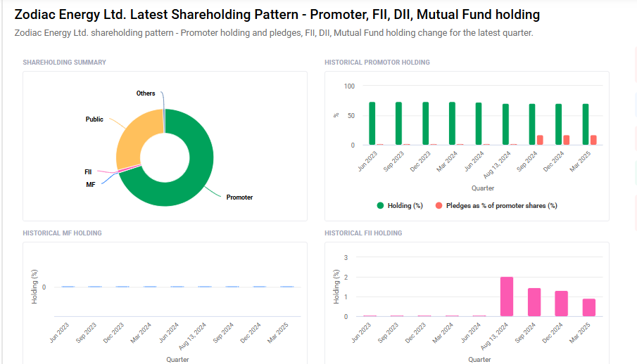 Zodiac Energy Shareholding Pattern